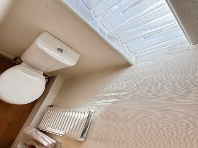 Picture 11